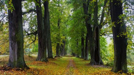 alej lemberk 120494a82bba4c9e4d0394b8865964a6 XL